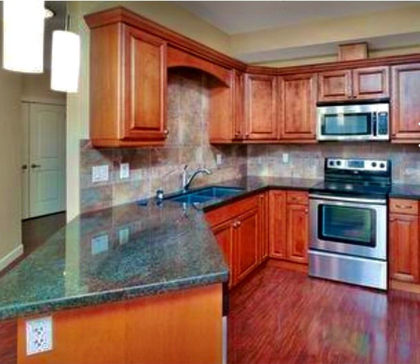 LUXURY CONDO- STEPS FROM THE LAKE- FANTASTIC REVENUE ! in Condos for Sale in Red Deer