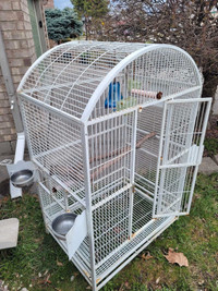 Cage bird