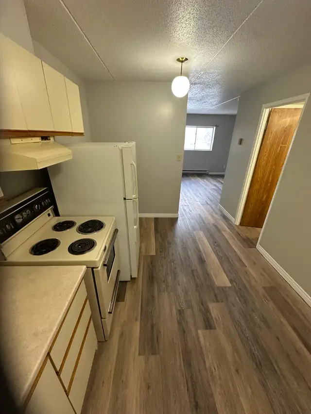 Main Floor Bachelor Available Now in Minnow Lake