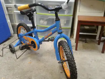 Raleigh Bike, View more