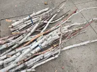 Birch Branches for Outdoor Planters