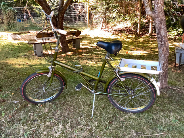 Folding Bike Raleigh in Road in Comox / Courtenay / Cumberland - Image 2