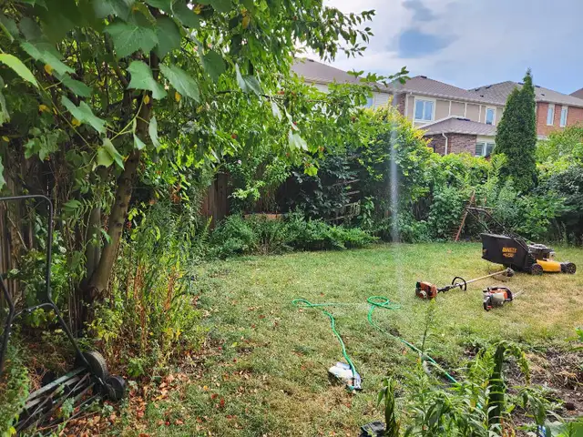 landscape Maintenance447398203852728323