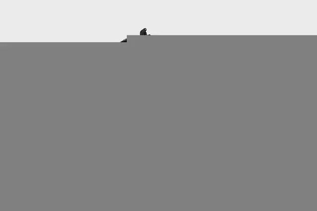 68" Skid Steer Attachment-Snow Blower in Snowblowers in Windsor Region - Image 4