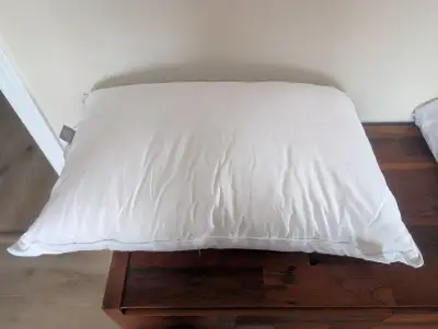 Oreiller en duvet, View more
