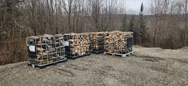 bois de chauffage tremble in Fireplace & Firewood in Thetford Mines - Image 2