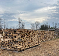 Spring special! $350/per cord delivered Mixed Hardwood firewood 