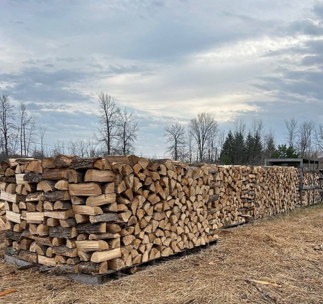 Spring special! $350/per cord delivered Mixed Hardwood firewood  in Fireplace & Firewood in Kingston