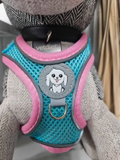 Dog Harness with Leash Set (Size Small), View more