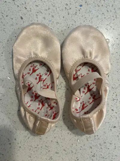 These are Shen Yun dance shoes in size 170cm (6.90in). They are in excellent condition and ready for...