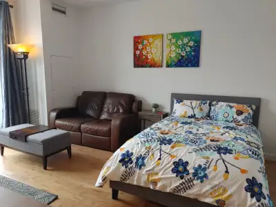 Furnished Studio in Downtown, Wifi & All Included!!