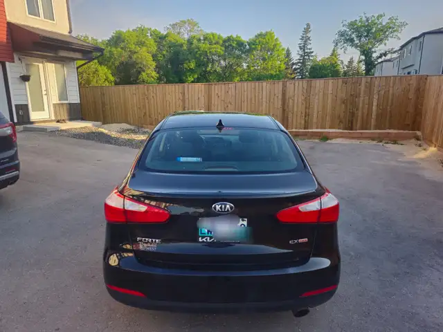 Validy Safety..2015 forte480461338413649922