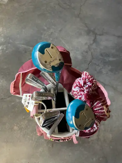 Woods: 1, 3 Irons:3,5, 6, 7, P, Putter Comes with bag& leather golf bag mini handbag plus with the s...