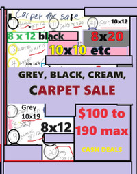 12x8 or 10x10 or 10x19 plus 25 other sizes... carpet pieces