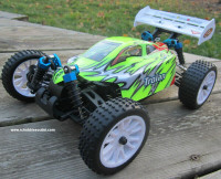 New RC Buggy / Car Electric 1/16 Scale 4WD 2.4G