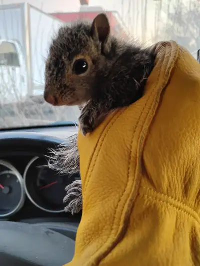 Pest control $99∆, View more