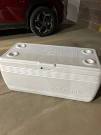 Camping cooler