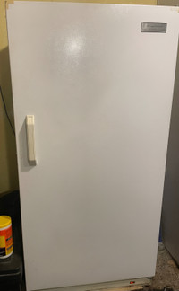 Frigidaire commercial freezer