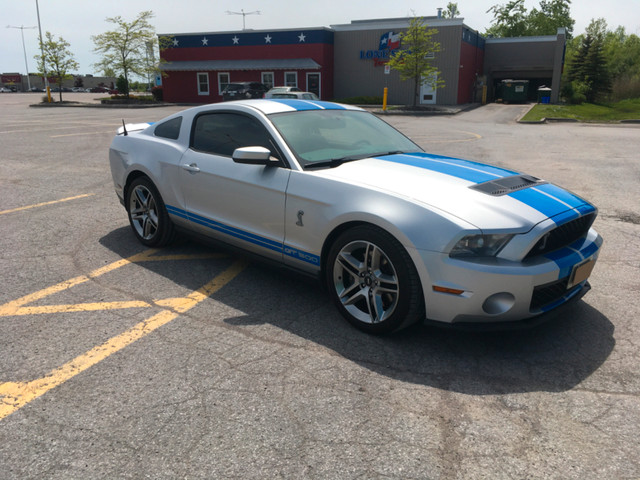2011 Shelby GT500 in Cars & Trucks in Belleville - Image 2