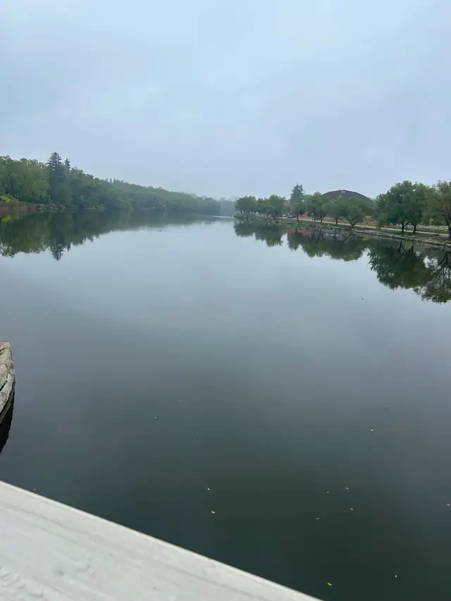 Midsummer Forest Immersion Experience – Stratford, Ontario548862839122841605