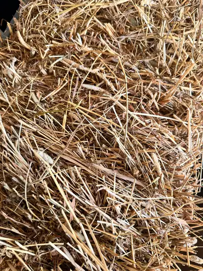 Fresh Hay for small pets, View more