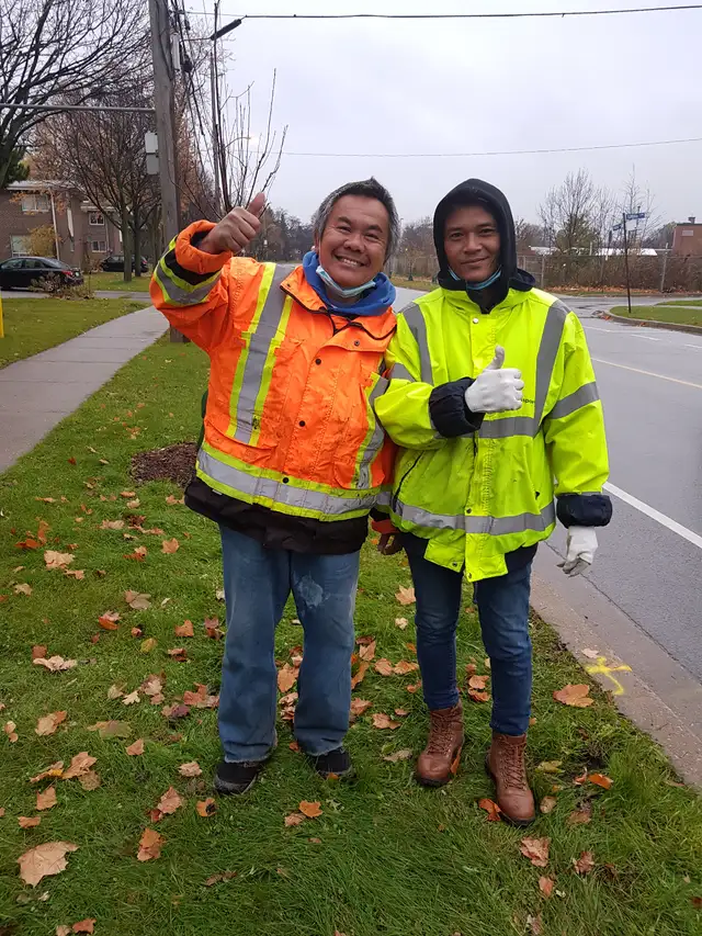 Sabai Lawn Inc. - Specialized Lawn Service Passes (Res. & Com.) in Lawn, Tree Maintenance & Eavestrough in City of Toronto - Image 9