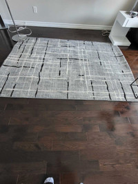 Modern area rug 5x7