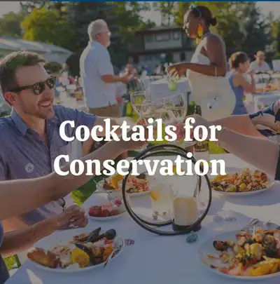 Cocktails for Conservation  Calgary Zoo Adukt Only Dat Nigh, View more