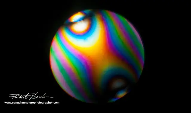 Motic BA-310 Polarizing Microscope in Hobbies & Crafts in Calgary - Image 7