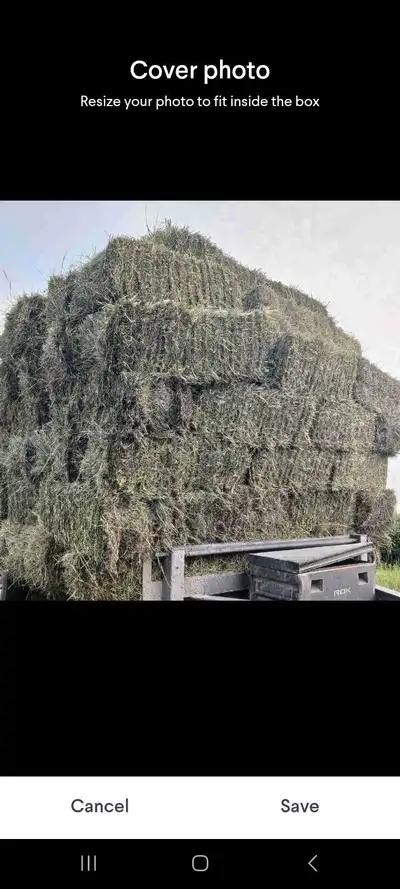 Grass hay for sale. They are nice and heavy, heavier than last year. Baled with zero rain. $7 per ba...