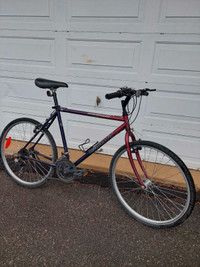 Giant Boulder Hybrid Bicycle, Vélo Hybride Homme, 26-in