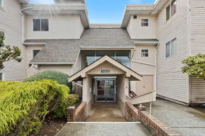 Spacious, naturally lit 1-bedroom apartment