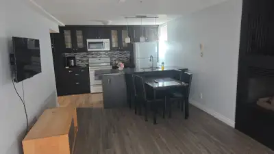 Bright and clean 1-bedroom, 1-bathroom basement apartment available for rent. Features include: Spac...