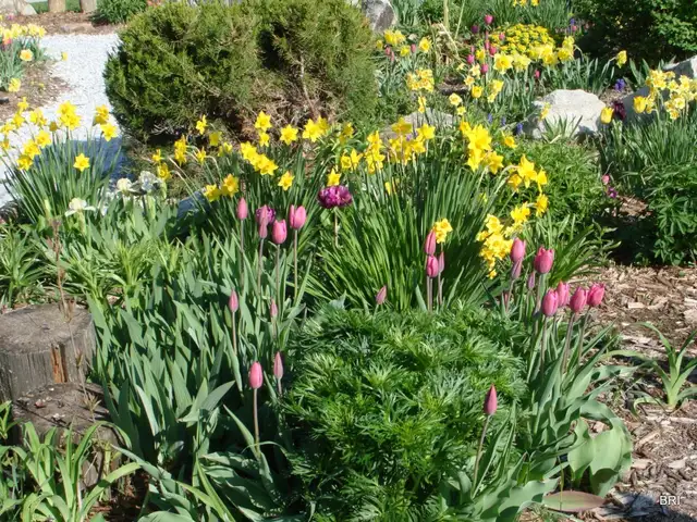 TRUE CHRISTIANITY - It's Time to KNOW and to BE a CHRISTIAN!!! in Activities & Groups in Muskoka - Image 3