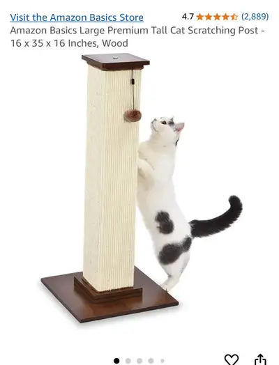 Basically brand new my cat had no interest in using it brand new condition paid about $80 asking $25...