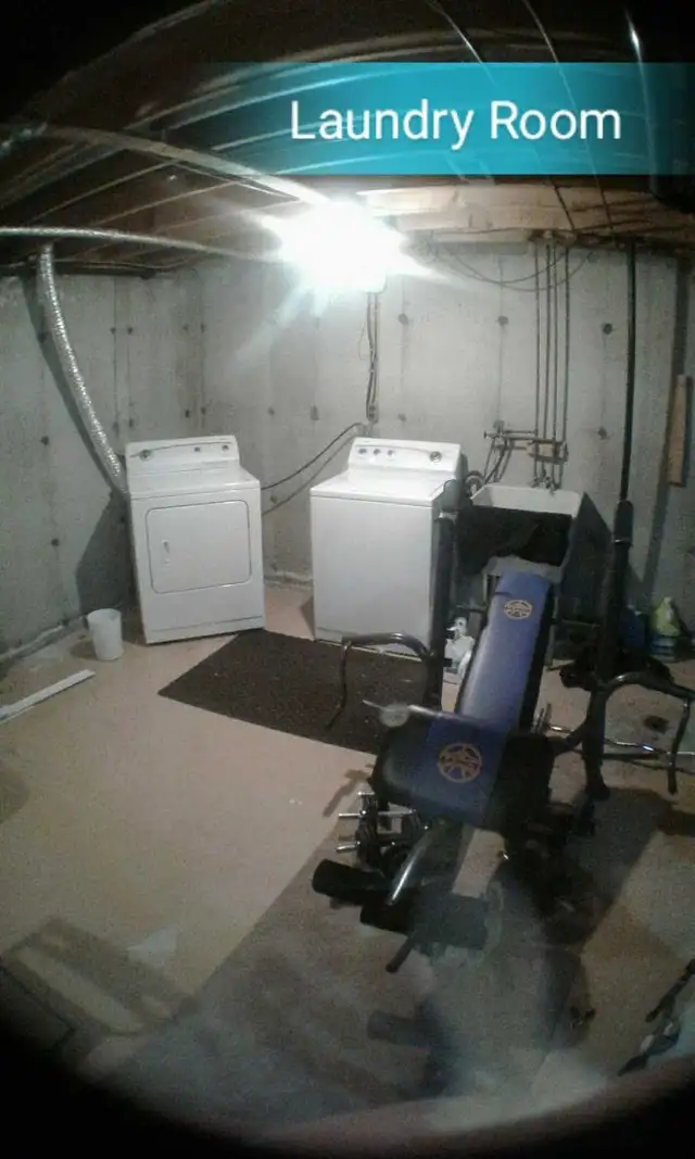 Photo 5