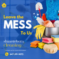 MOST AFFORDABLE HOUSE CLEANING -Shinereborn Cleaning