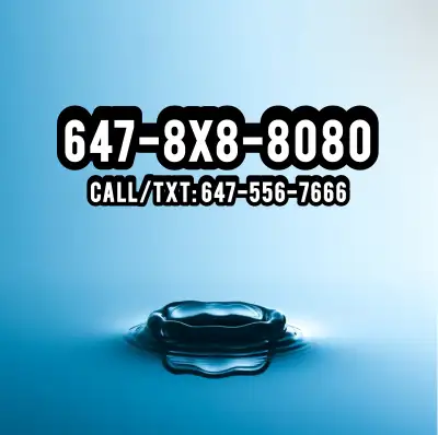 8080 Phone Numbers 647-8X8-8080 Perfect Vip Phone Numbers, View more