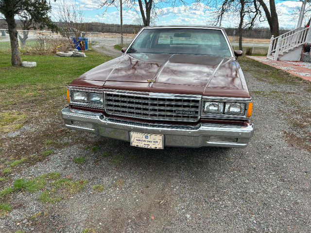 1981 Chevrolet Caprice in Classic Cars in Gatineau - Image 3