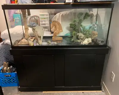 75 gallon fish tank and stand, View more