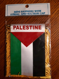 Palestine Mini Banner