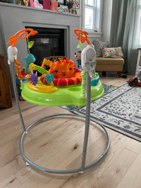 Jumperoo in good condition