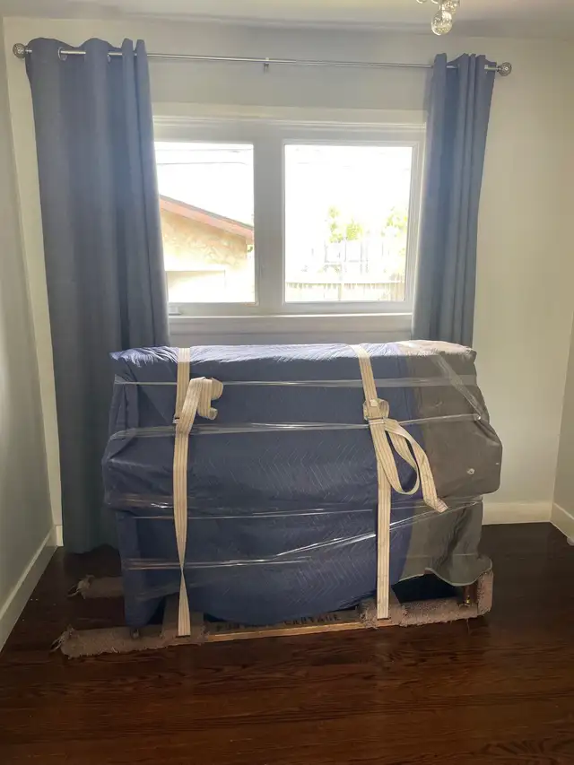 Professional Moving services476835343888568322