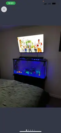 Fish Tank 60g w/ Stand and TONS of accessories