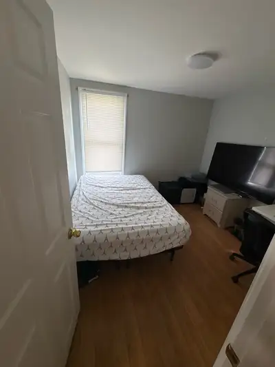 2 Rooms for rent