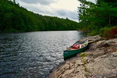 Lots of life left in this canoe. Very comfortable seats. Scratched up but no damage. $400 obo