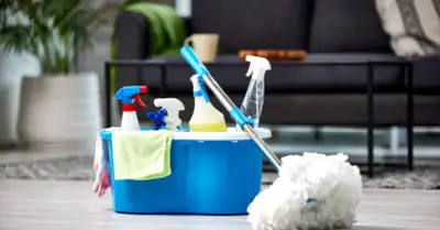 looking for a cleaner to clean my house 20$ / hour, View more