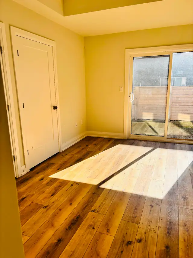 Walkout Room for Rent