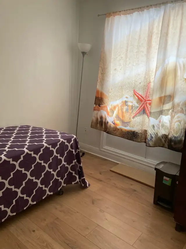 furnished room for female on main floor in Markham