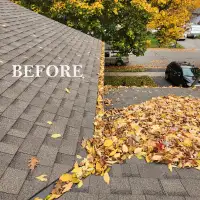 AFFORDABLE Spring Time Gutter Cleaning!